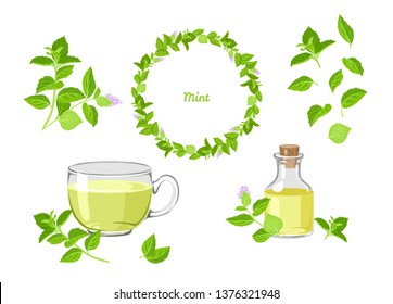 Mint set. Branches, wreath, tea and peppermint oil isolated on white background. Vector herbal illustration in cartoon flat style.