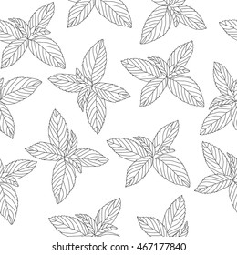 Mint sketch seamless texture, doodle style background wallpaper. Vector illustration