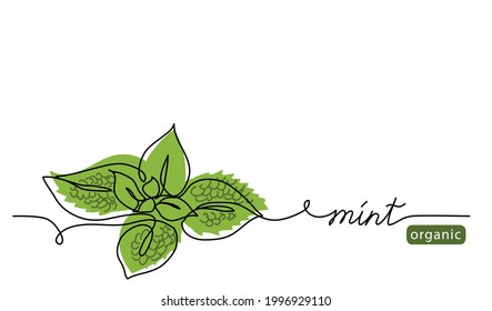 Mint, spearmint vector illustration.Background for label design. One continuous line art drawing illustration with lettering organic mint.