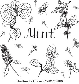 Mint cuadrado blanco y negro 