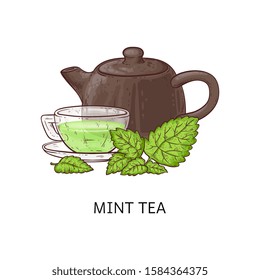 Mint tea drawing - glass cup with healthy green beverage, brown teapot and leaves isolated on white background, traditional hot drink - hand drawn cartoon vector illustration