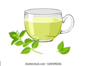 Mint tea in glass cup isolated on white background. Branch and leaves of fresh mint. Vector illustration of healing drink  in cartoon simple flat style.