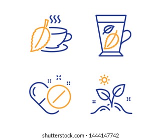 Mint tea, Mint leaves and Medical pills icons simple set. Grow plant sign. Mentha beverage, Mentha leaf, Drugs. Leaves. Healthcare set. Linear mint tea icon. Colorful design set. Vector