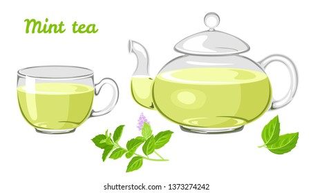 Mint tea set. Glass cup and teapot, a branch of blooming fresh mint isolated on white background. Vector illustration of hot, healthy herbal drink in cartoon flat style.