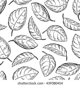 Mint vector drawing seamless pattern. Isolated mint plant and leaves. Herbal engraved style background. Detailed organic product sketch. Cooking spicy ingredient