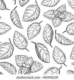 Mint Vector Drawing Seamless Pattern. 