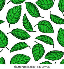 Mint vector drawing seamless pattern. Isolated  plant and leaves. Herbal hand drawn artistic style background. Detailed organic product sketch. Cooking spicy ingredient