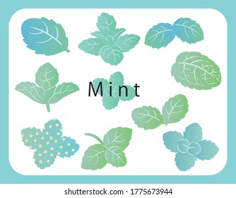 Mint, ilustración vectorial. Conjunto de iconos.