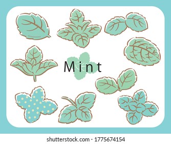 Mint, ilustración vectorial. Conjunto de iconos.