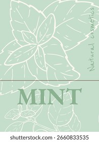 Mint vertical emblem design template. Natural cosmetics ingredient. Hand drawn ink sketch plant from package design. Ecology concept in beauty industry. Vector clip art