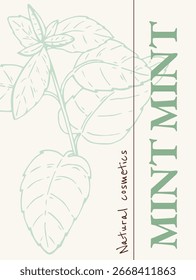 Mint vertical emblem design template. Natural cosmetics ingredient. Hand drawn ink sketch plant from package design. Ecology concept in beauty industry. Vector clip art