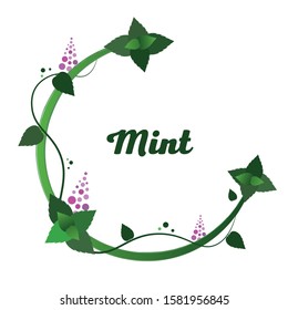 Mint wreath isolated on white background. Round frame with green fresh herbs. Vector illustration of peppermint in cartoon simple flat style.