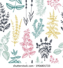 Mints and balms seamless pattern. Hand sketched aromatic and medicinal herbs background. Herbal tea ingredients. Mint plants in vintage style backdrop. For textile, wrapping, packaging.