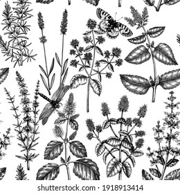 Mints and balms seamless pattern. Hand sketched aromatic and medicinal herbs background. Herbal tea ingredients. Mint plants for cosmetics, perfumery, textile, wrapping, packaging, fabric. 