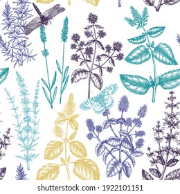 Mints and balms seamless pattern. Hand-sketched aromatic materials and medicinal herbs background. Herbal tea ingredients. Mint plants for cosmetics, perfumery, textile, wrapping, packaging, fabric. 