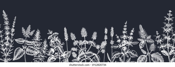 Mints on a chalkboard. Hand sketched medicinal herbs banner design. Vector mint plants sketches. Vintage summer flowers template. Botanical background with floral elements in engraved style. 