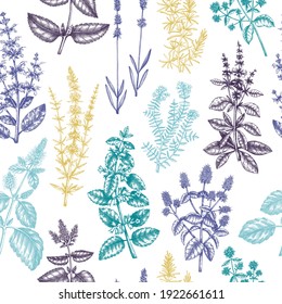 Patrón perfecto. Materiales aromáticos esbozados a mano y fondo de hierbas medicinales. Ingredientes de té de hierbas. Plantas de menta en el fondo de estilo vintage. Para textiles, embalajes, embalajes, perfumería