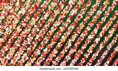 Miracle Background with Confetti of Glitter Particles. St. Valentine Day. Celebration pattern. Light Spots. Explosion of Confetti. Glitter Vector Illustration. Design for Poster.