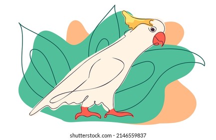 Miracle cockatoo bird in greenery