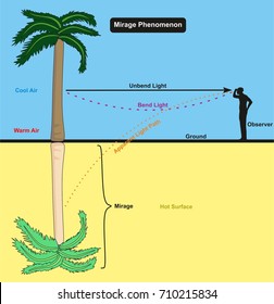 Mirage Phenomenon infographic diagram with an example of an observer man standing on the desert hot surface looking in to palm tree and the reflection appear for physics science education