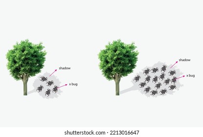 Mirage Phenomenon-Infografik mit einem Insektenbeispiel im Schatten der Palme und Reflexion für die naturwissenschaftliche Ausbildung erscheinen