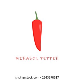 mirasol pepper flat design vector illustration