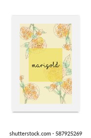 Mirigold vector illustration hand drawn painted watercolor