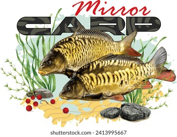 Mirror Carp Fish Eating Protein Boilies Realistic Illustration with Text