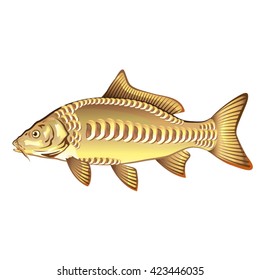 Mirror Carp Vector Art Graphic Design Stock Vector (Royalty Free ...