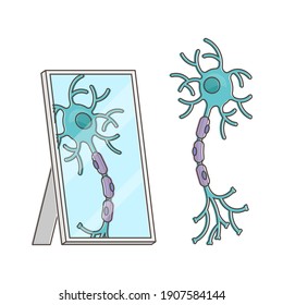 Mirror neuron funny performance with itself reflection view outline concept. Imitative behavior and empathy explanation from neuroscience aspect with cartoon style nerve drawing vector illustration.