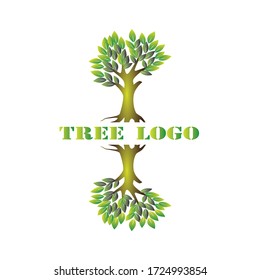 Mirror tree logo vector illustration, 
olive tree symbol, reflected by a glass floor, isolated on white, eps 10.