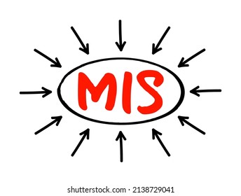 MIS Management Information System - study of people, technology, organizations, and the relationships among them, acronym text with arrows