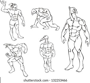 Miscellaneous bird mascots. Vector set. Characters with human body and animal head.