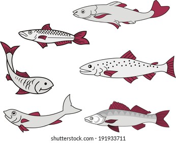 Miscellaneous Fish. Set Of Heraldic Vector Elements.