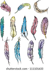 Miscellaneous motley feathers. Set of color vector illustrations.