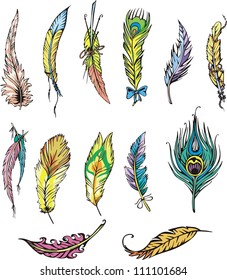 Miscellaneous motley feathers. Set of color vector illustrations.