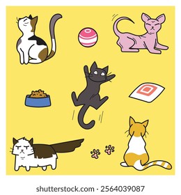 Miscellaneous set of the cat's daily life on vector