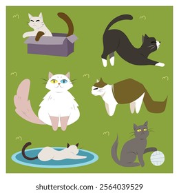 Miscellaneous set of the cat's daily life on vector