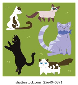 Miscellaneous set of the cat's daily life on vector