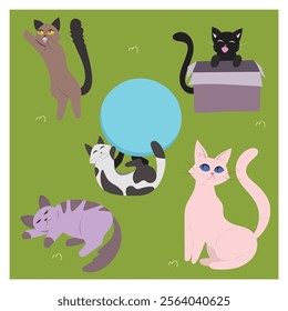 Miscellaneous set of the cat's daily life on vector