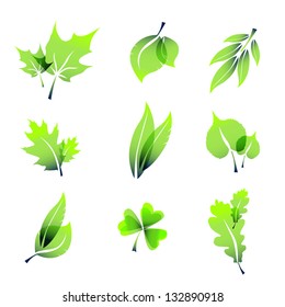 Miscellaneous summer leaves icons, isolated on white.