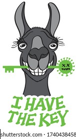 Mischievous black llama posing and grinning while holding a green key with its teeth. It feels proud of having the key in the fight against coronavirus and say it through a text " I have the key"