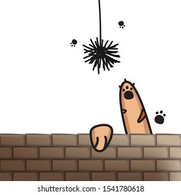 The mischievous little cat is raising her arms to play with toys that are hanging from above.