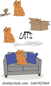 
Mischievous red cat. Playful cat making a mess in the house.