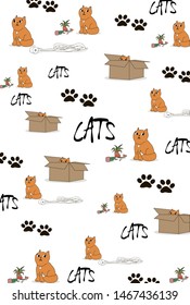 Mischievous red cat. Playful cat making a mess in the house. Wallpaper. Print Background.