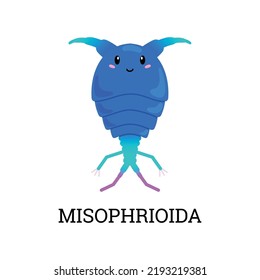 Misophrioida sea plankton organism cartoon character with cute face, flat vector illustration isolated on white background. Zooplankton small tiny animal.