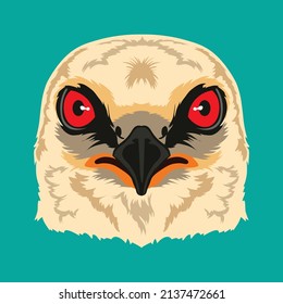 Mississippi Kite bird face vector illustration in decorative style, perfect for kids tshirt design and mascot logo