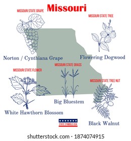 Missouri. Set of USA official state symbols. Vector hand drawn illustration