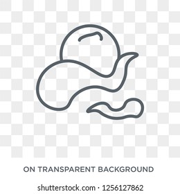 Mist icon. Mist design concept from  collection. Simple element vector illustration on transparent background.