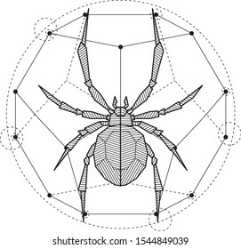 Mistical Spider Geometric Drawing Tattoo. Blackwork.